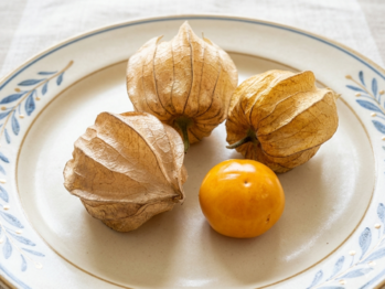 小小一顆贏過蘋果！燈籠果營養數據曝光 網驚：太強