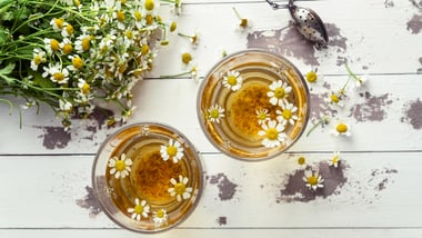 失眠睡不好？酸棗仁茶、薰衣草茶助放鬆，睡前這樣做