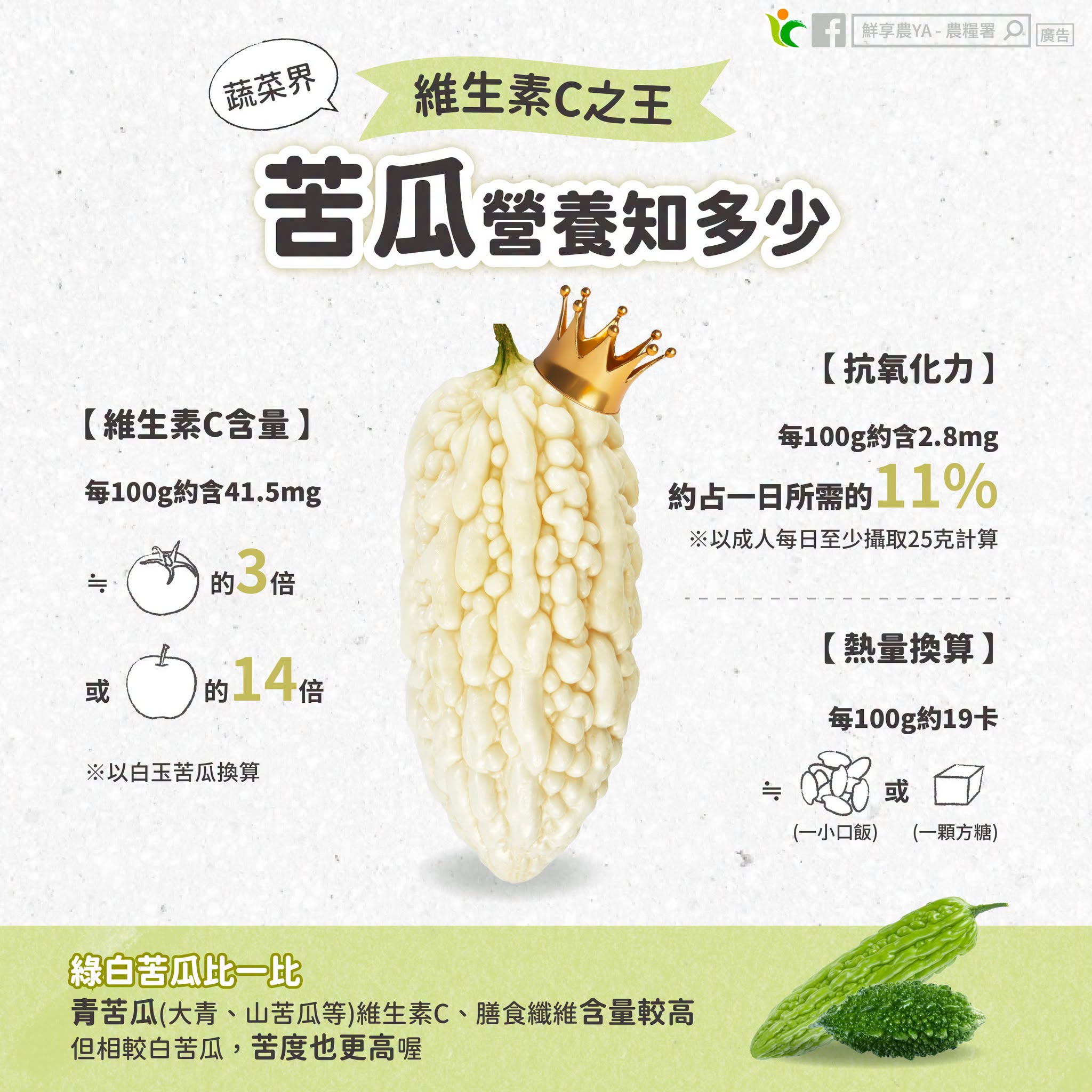 苦瓜品種與營養