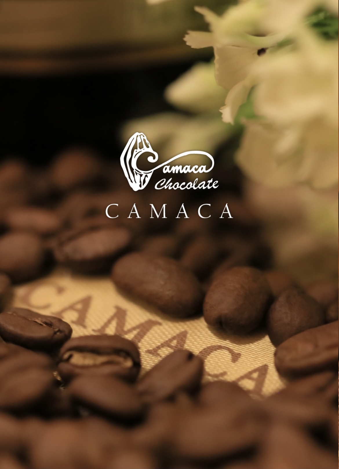 卡莫卡巧克力莊園